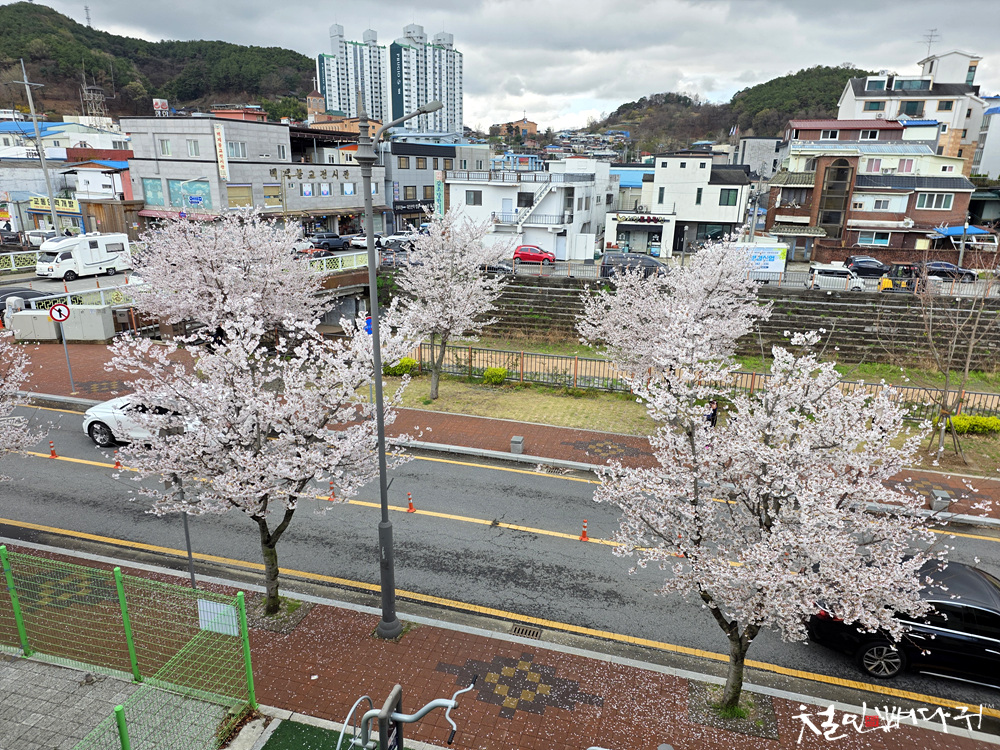 Cheongsolsomeorigukbap 6