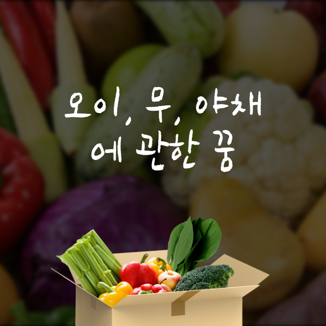 오이&#44; 무&#44; 배추&#44; 채소에 관한 꿈