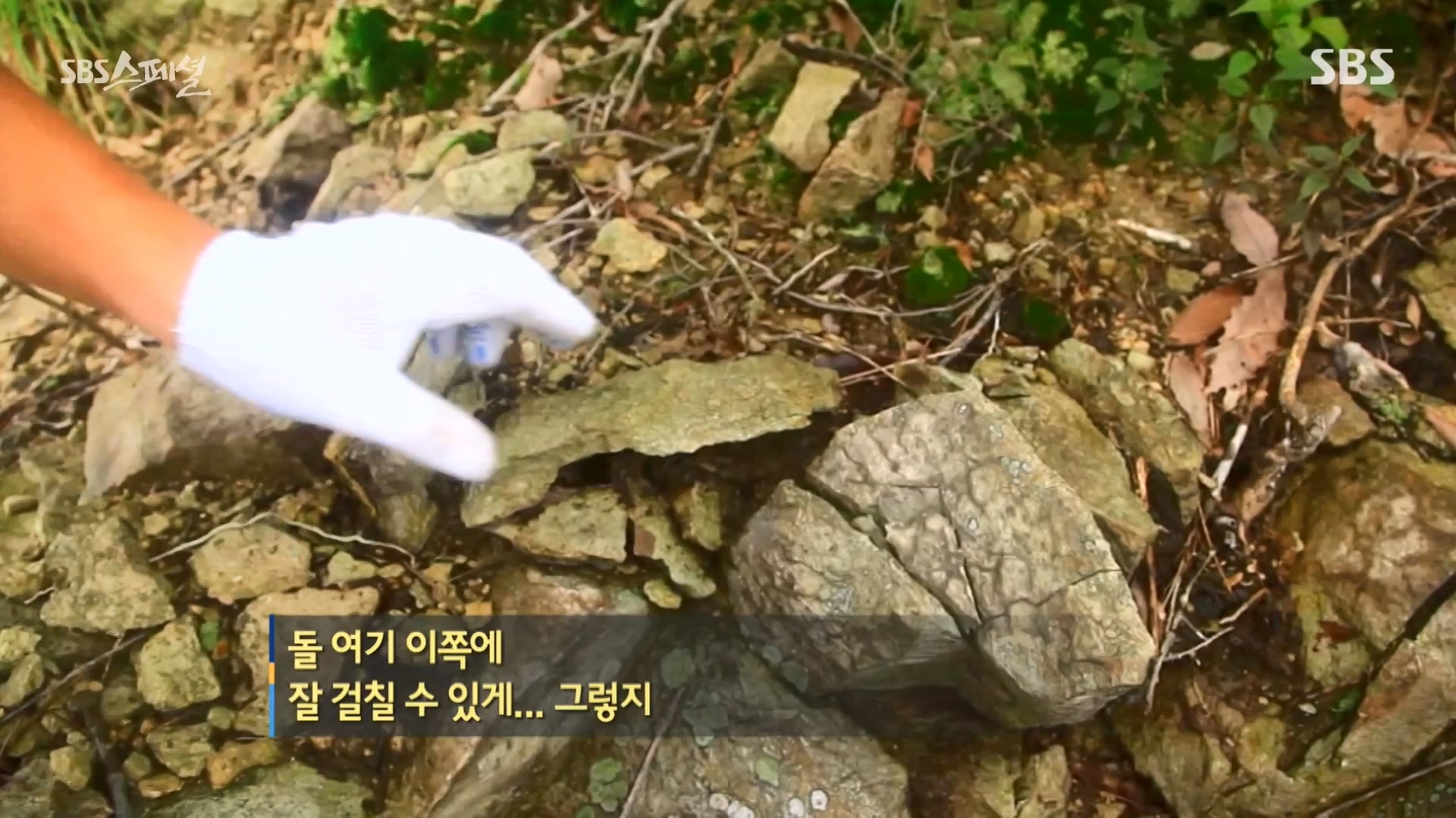 일요특선 다큐멘터리.E344.240310p-NEXT.mp4_20240310_160127.031.jpg