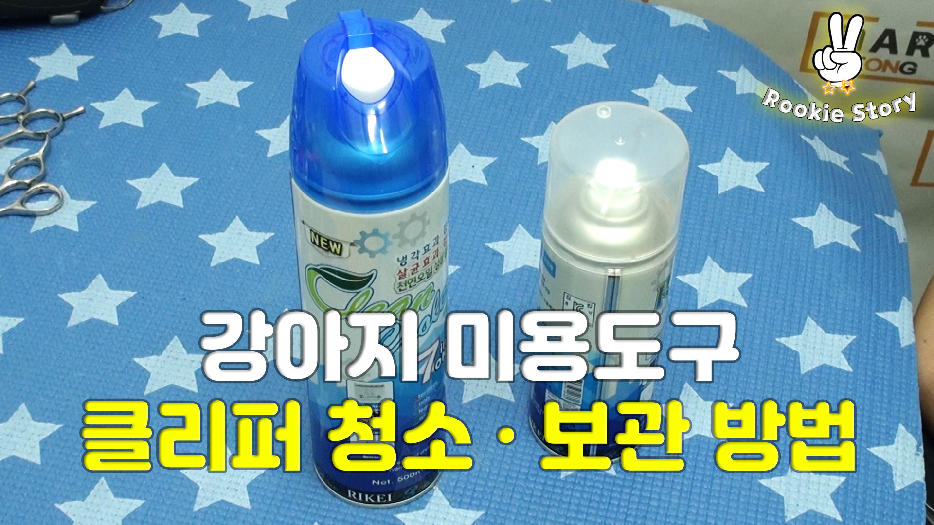  애견 셀프 미용 도구 강아지 클리퍼 청소 보관 방법