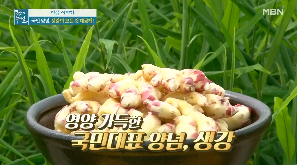  생강의효능모든것 국민대표양념 굴효능 굴밥굴국레시피먹는방법 섭취시주의사항 신선한굴고르는법 굴 세척방법 호르몬충전 바다에서건진완전식품