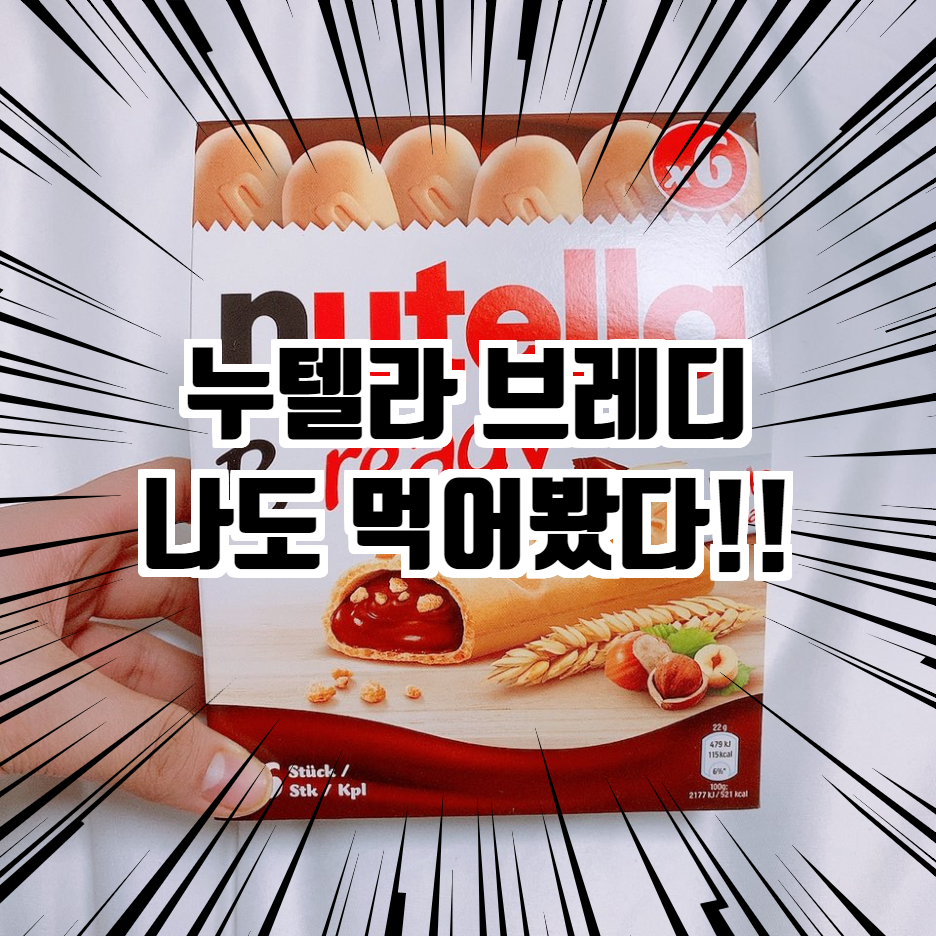  누텔라 과자 누텔라 브레디 진한 초코바 간식 추천과 구매 후기