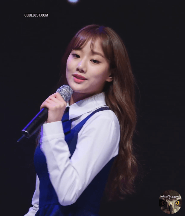   뚜뚜월드