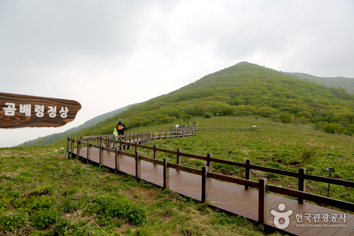 인제 가볼만한곳 베스트10