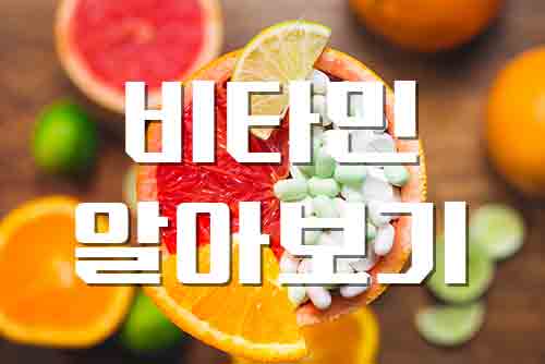  비타민, 더 나은 내일을 위한 건강의 기반 비타민 정보