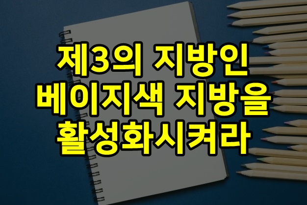  제3의 지방인 베이지색 지방을 활성화시켜라