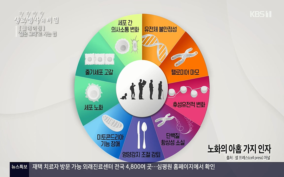 생로병사의 비밀.E817.220407p-NEXT.mp4_20220407_181631.284.jpg
