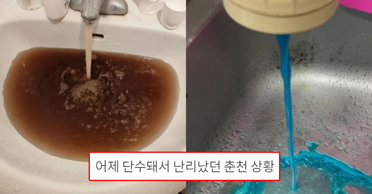  어제 단수돼서 난리났던 춘천 상황