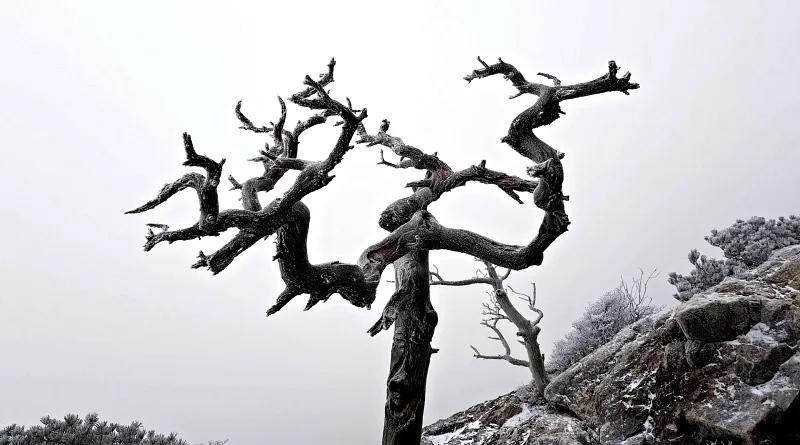 합천 가야산 설경