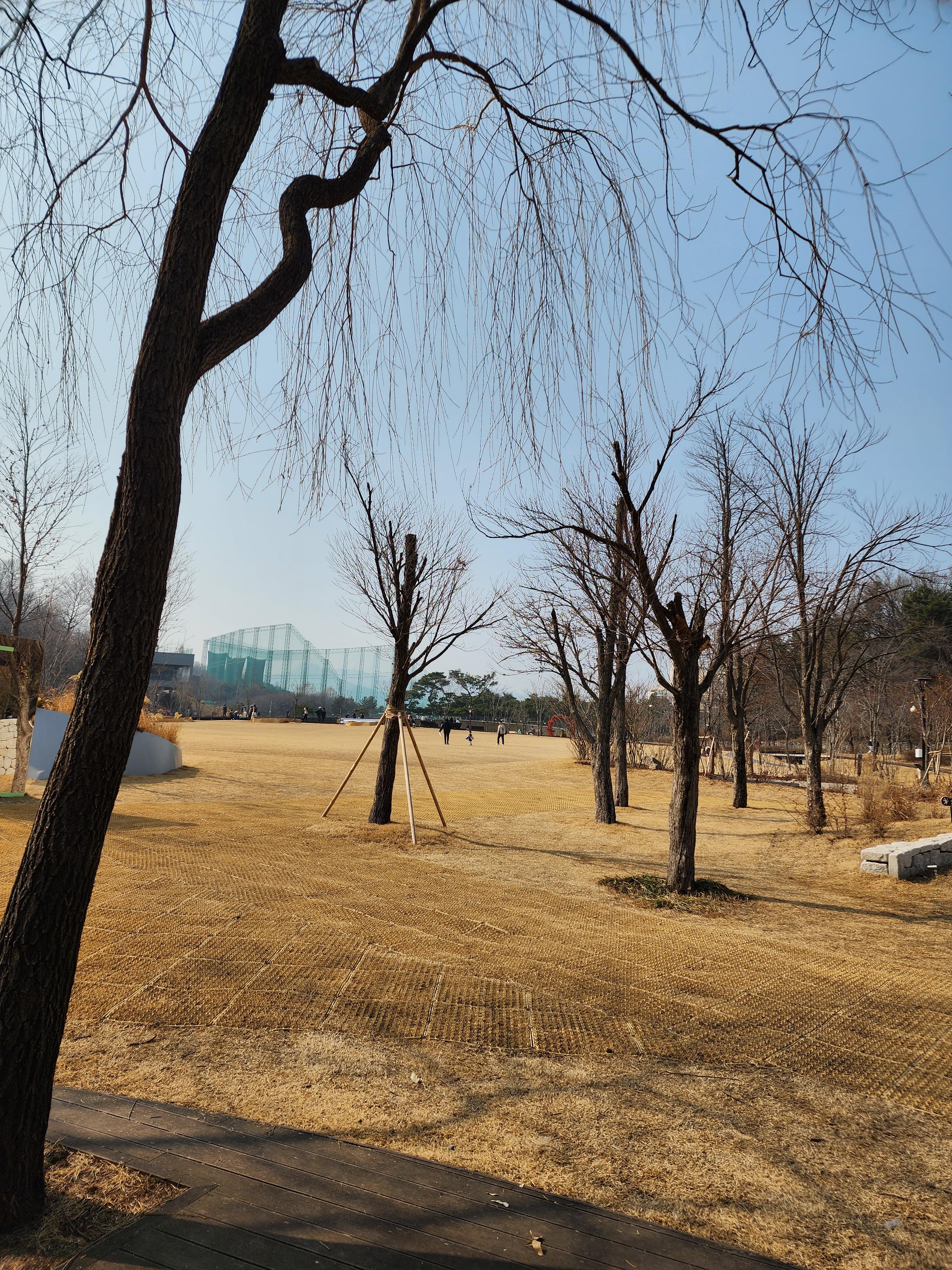 북서울 꿈의 숲, 서울에서 즐기는 5