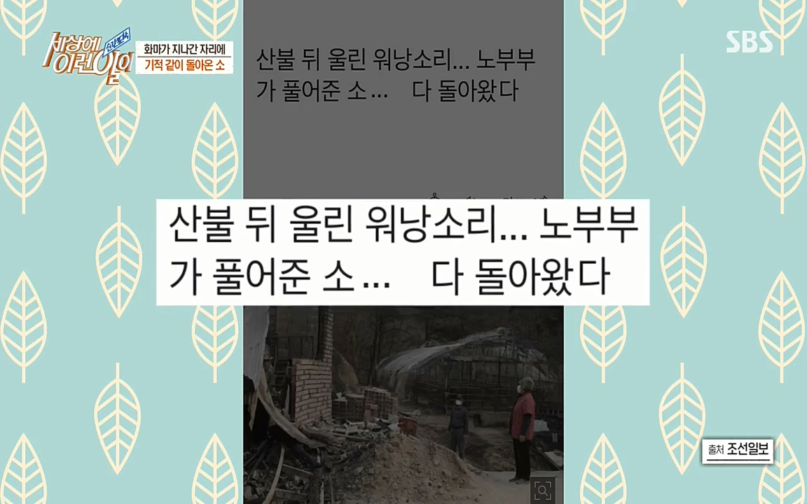 순간포착 세상에 이런일이.E1174.220406p-NEXT.mp4_20220406_173932.446.jpg