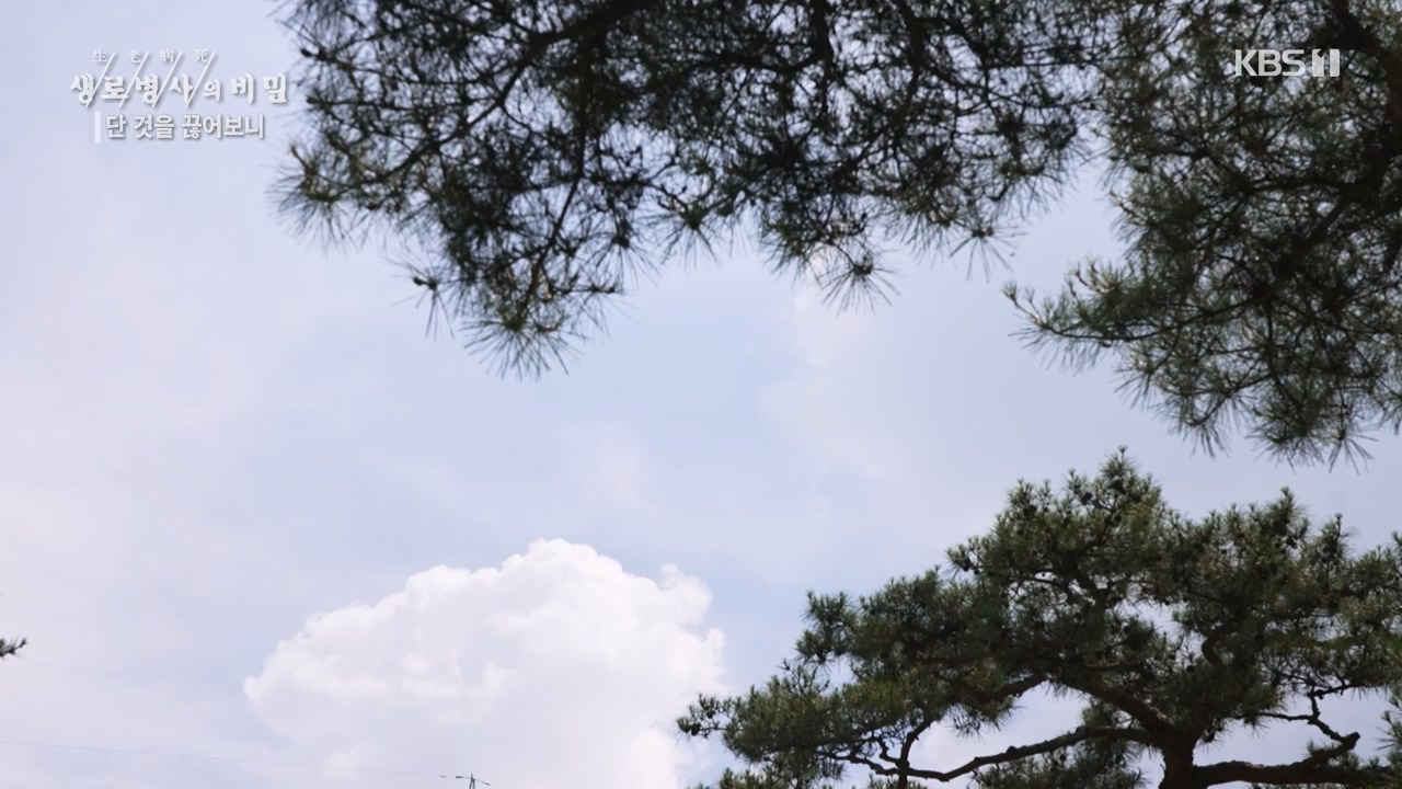 생로병사의 비밀.E877.230727p-NEXT.mp4_20230727_222740.204.jpg