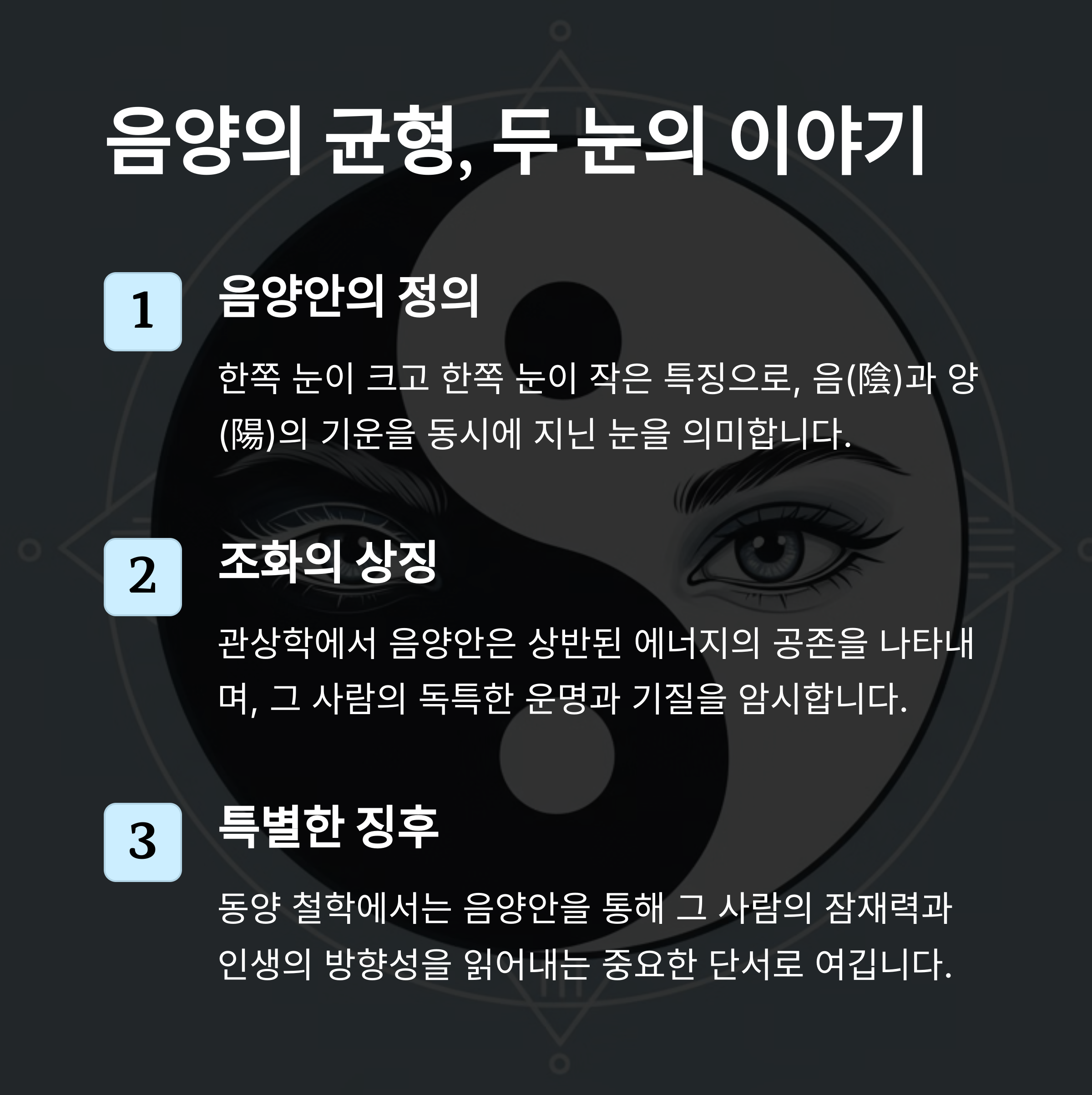 음양안이란? 개념과 의미