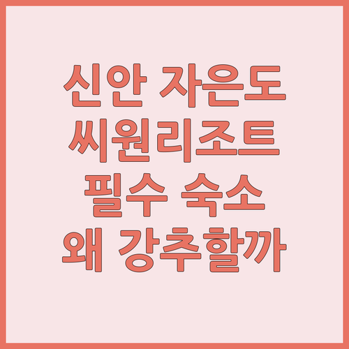 신안 자은도 여행 필수 숙소! 씨원리