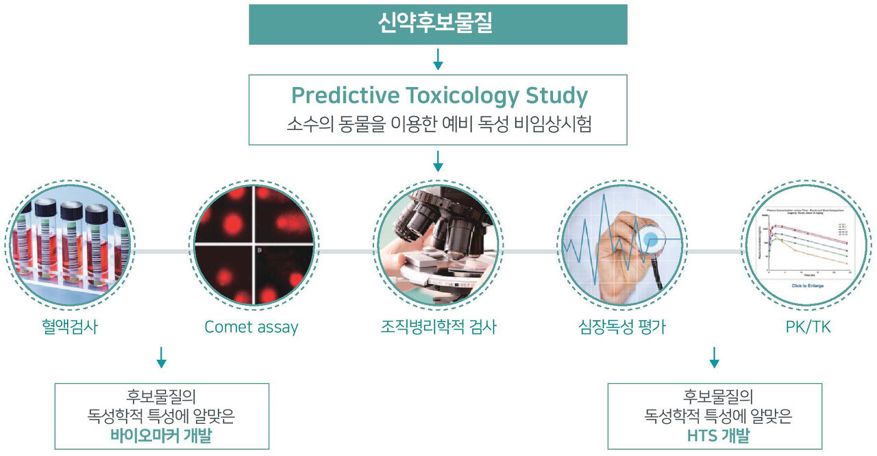 신약개발-독성평가