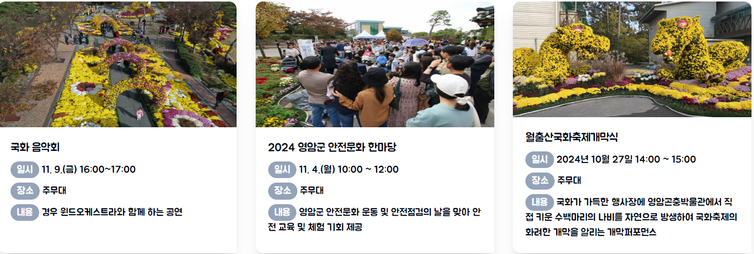 영암 월출산 국화축제, 가을엔 여기가 핫플! 일정 및 가수 공연안내