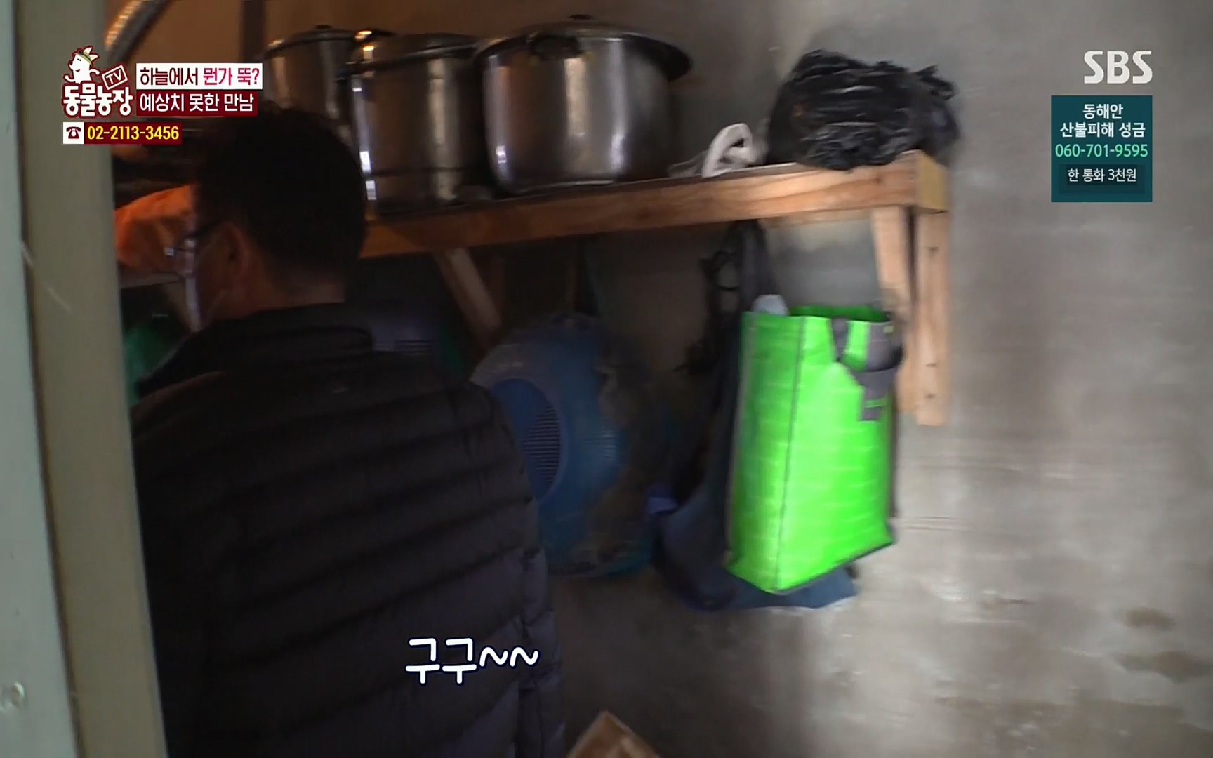 TV 동물농장.E1061.220320p.H264-F1RST.mp4_20220320_183558.118.jpg