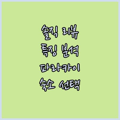 파라카이 스프링스 로지 실제 투숙객 