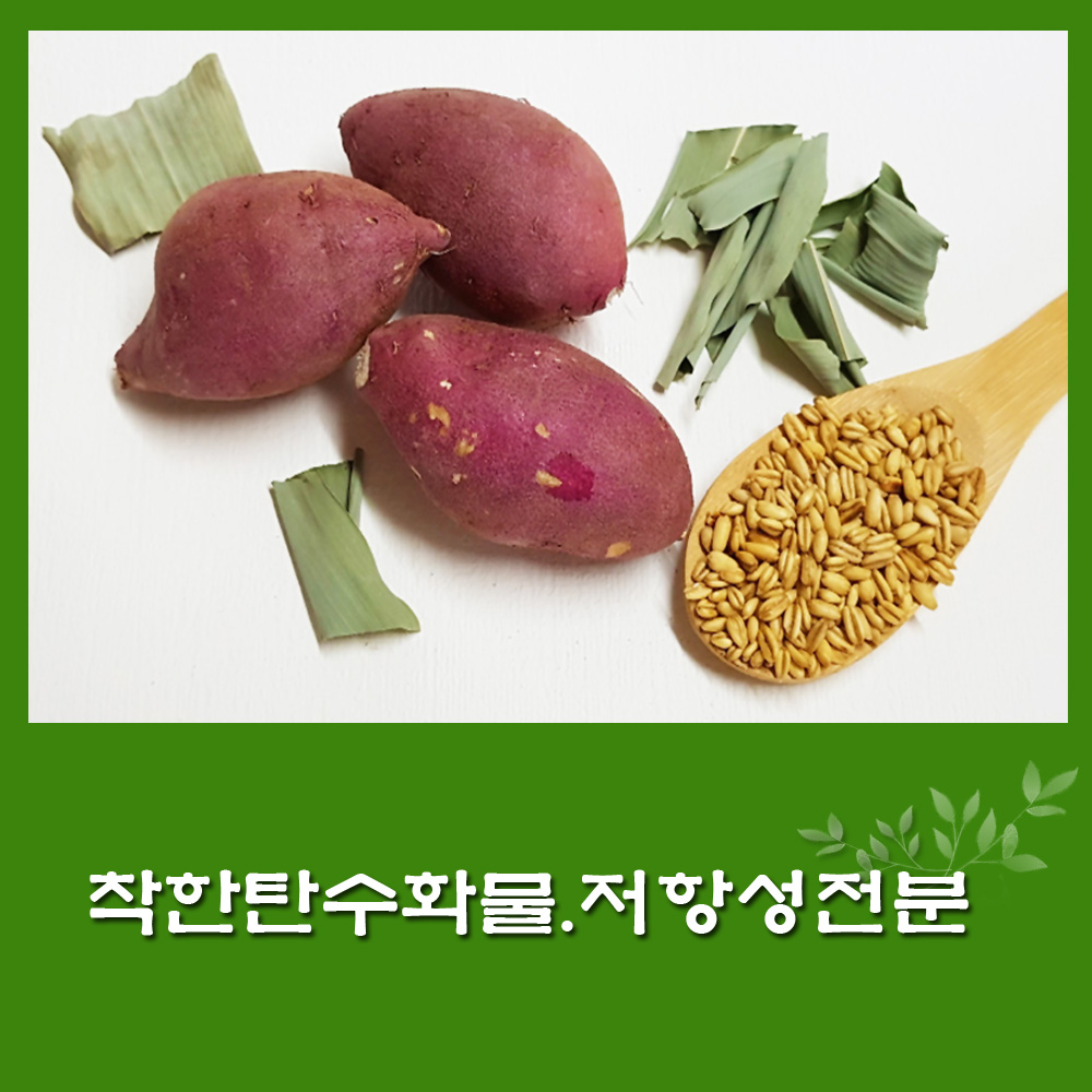  전분. 저항성전분. 착한 탄수화물