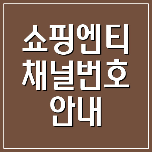  쇼핑엔티 채널번호