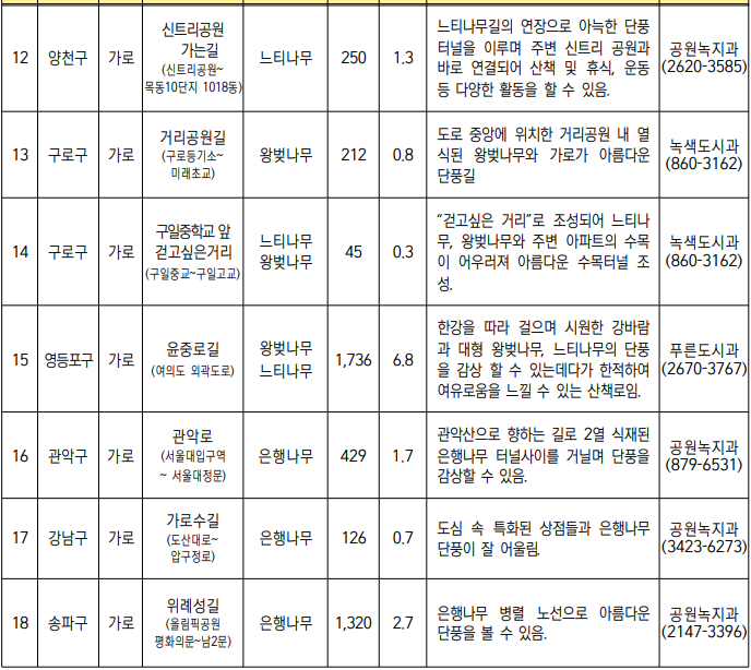 서울 단풍길 99선 소개