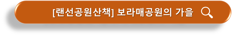 랜선산책 보라매병원의 가을