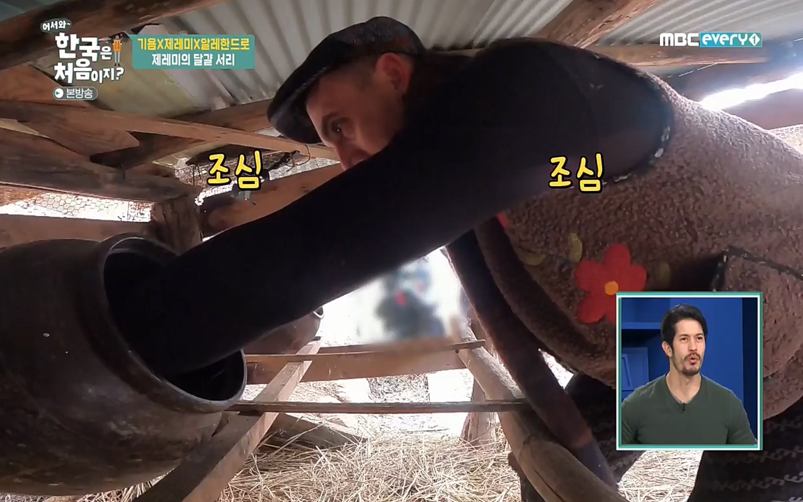 어서와 한국은 처음이지 시즌2.E202.220318p-NEXT.mp4_20220318_175136.040.jpg