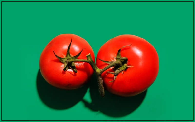 비염에-좋은-음식-토마토-사진