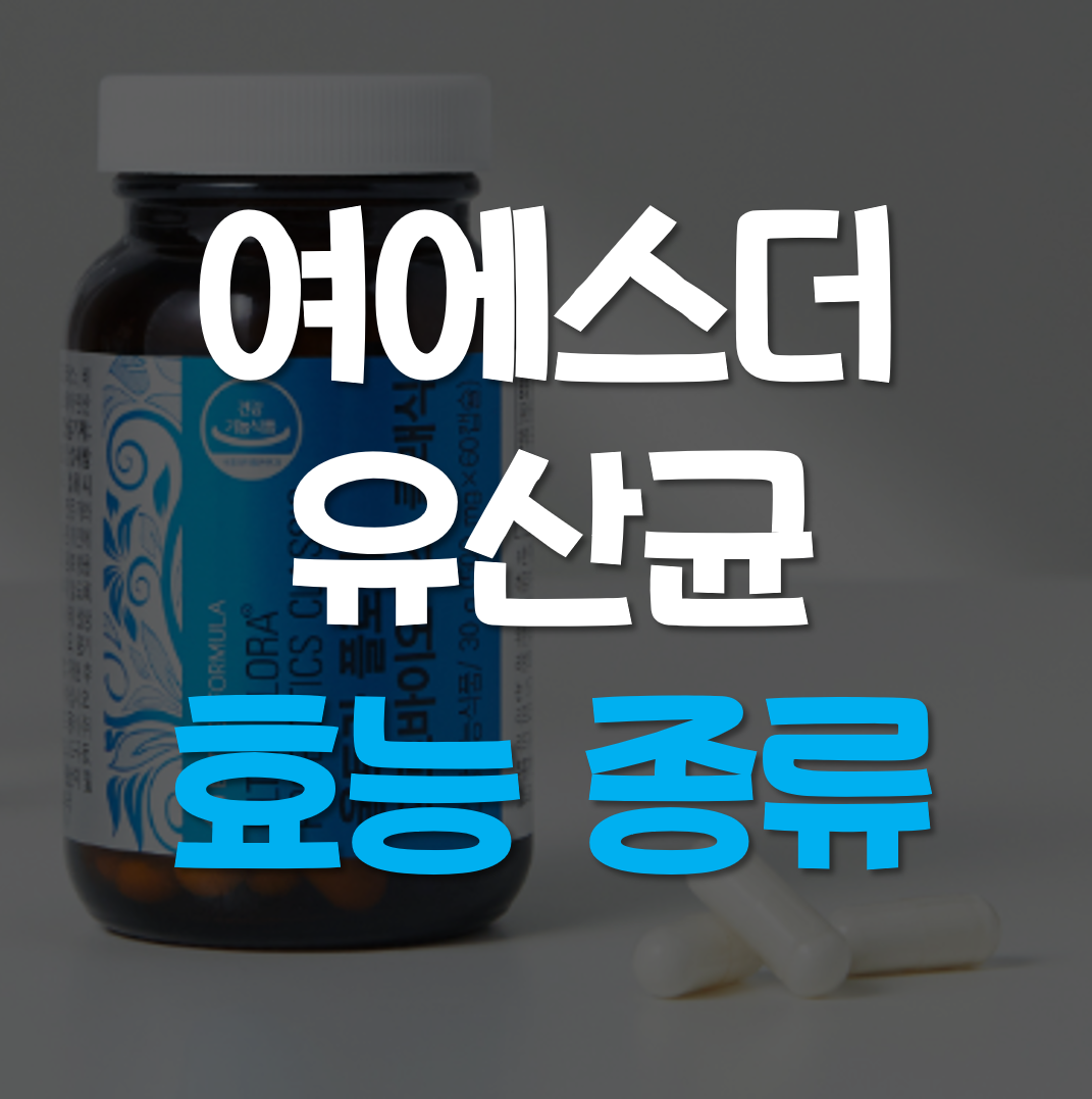  여에스더 유산균 효능 종류
