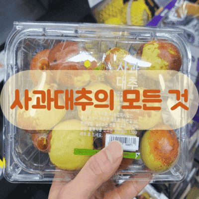 사과 대추