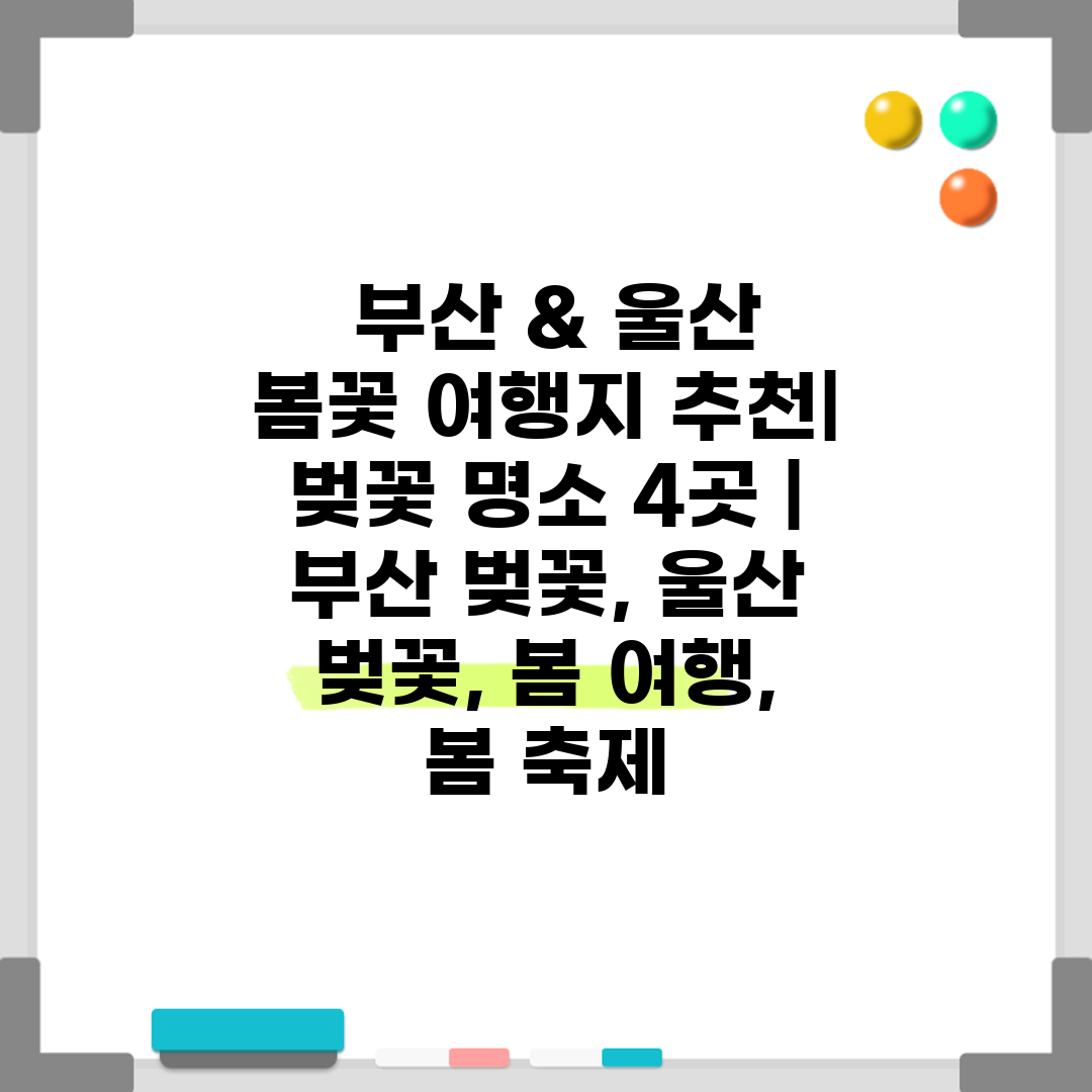  부산 & 울산 봄꽃 여행지 추천 벚꽃 명소 4곳  부