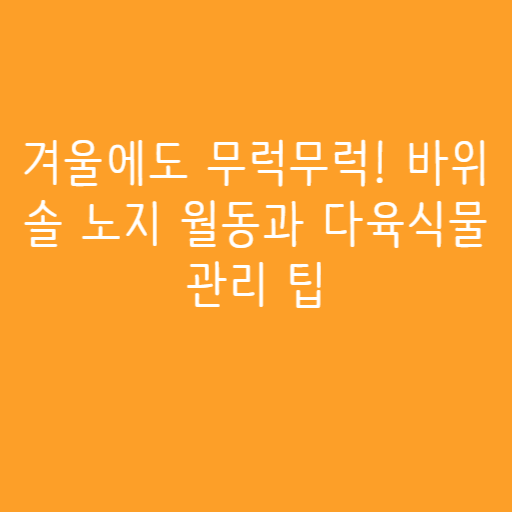 겨울에도 무럭무럭! 바위솔 노지 월동과 다육식물 관리 팁 겨울에도 무럭무럭! 바위솔 노지 월동과 다육식물 관리 팁