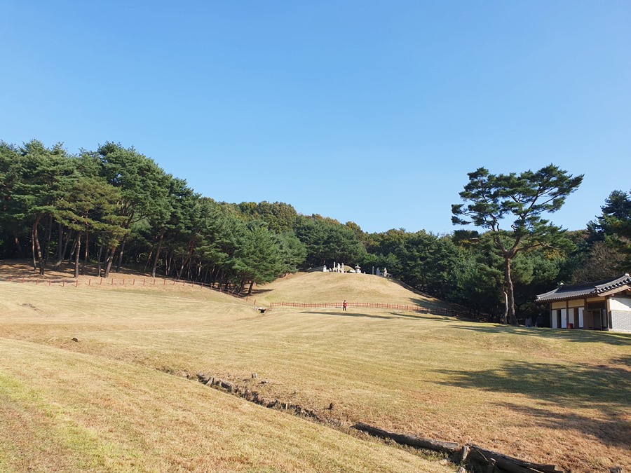 조선-14대-선조와-왕비의능