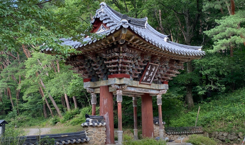  혼자 봄꽃여행 조용한곳 BEST 3(구례)