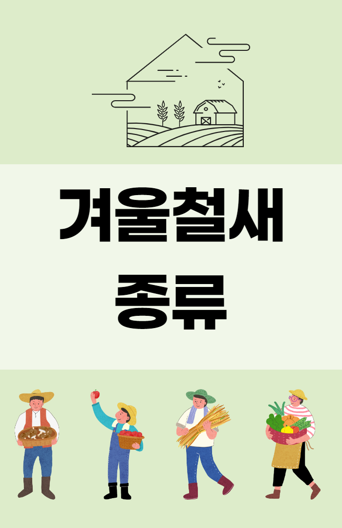  겨울철새 종류 구경, 흔한 우리동네 풍경 중 하나 !