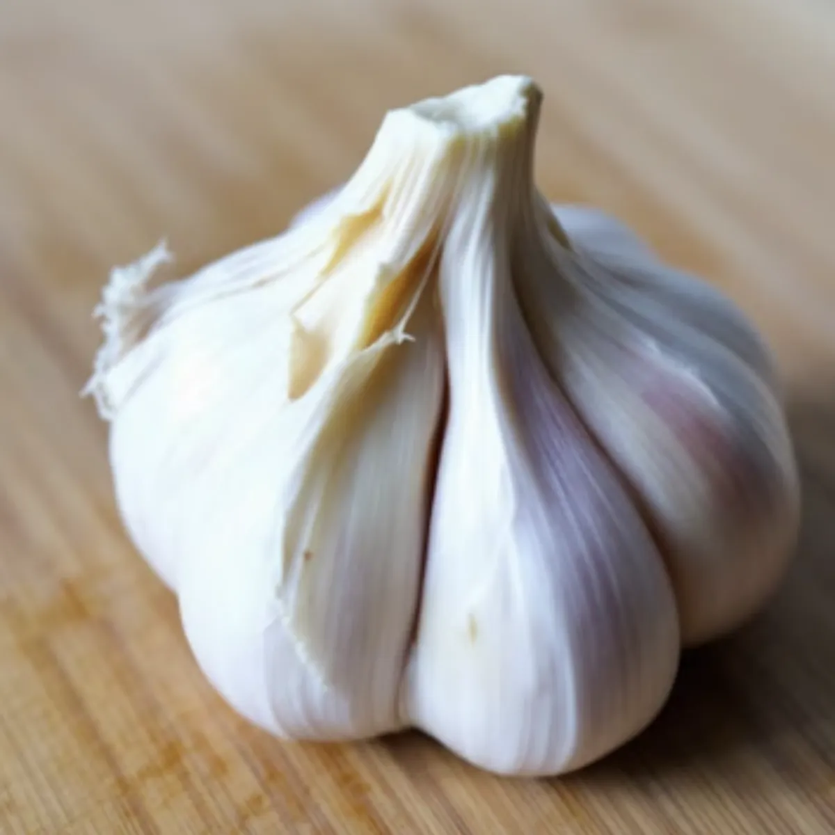 지중해식식단기초