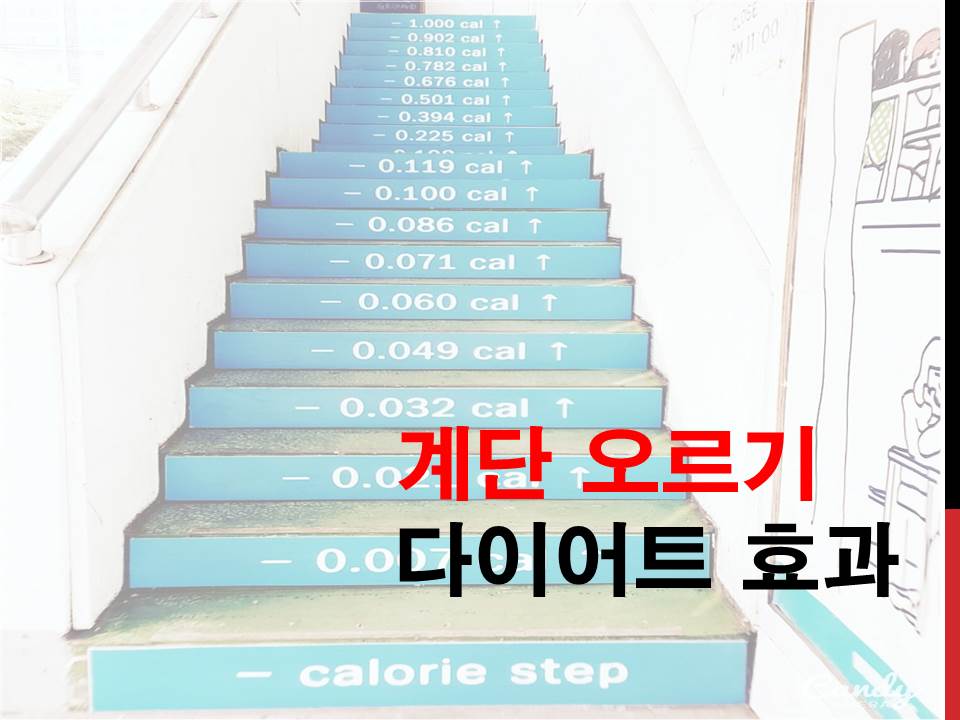 계단오르기 다이어트 효과 하나부터 열까지 계단오르기 다이어트 효과 하나부터 열까지