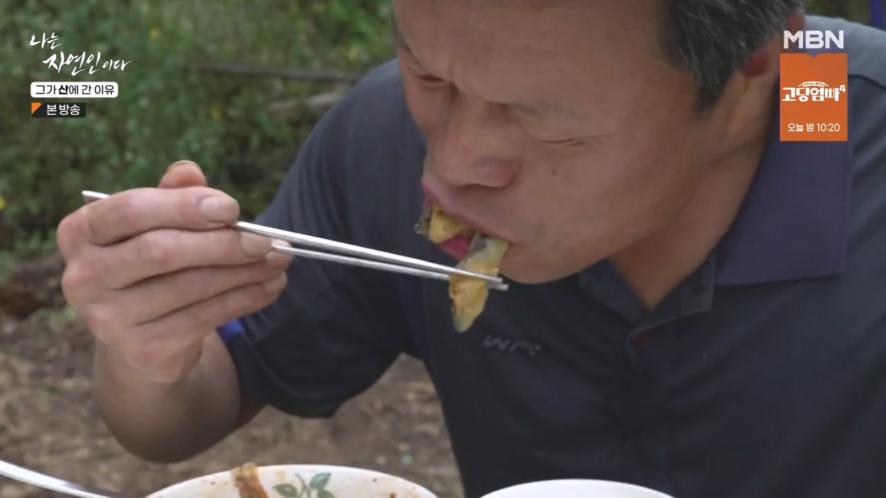 나는 자연인이다.E575.231012p-NEXT.mp4_20231012_201008.735.jpg