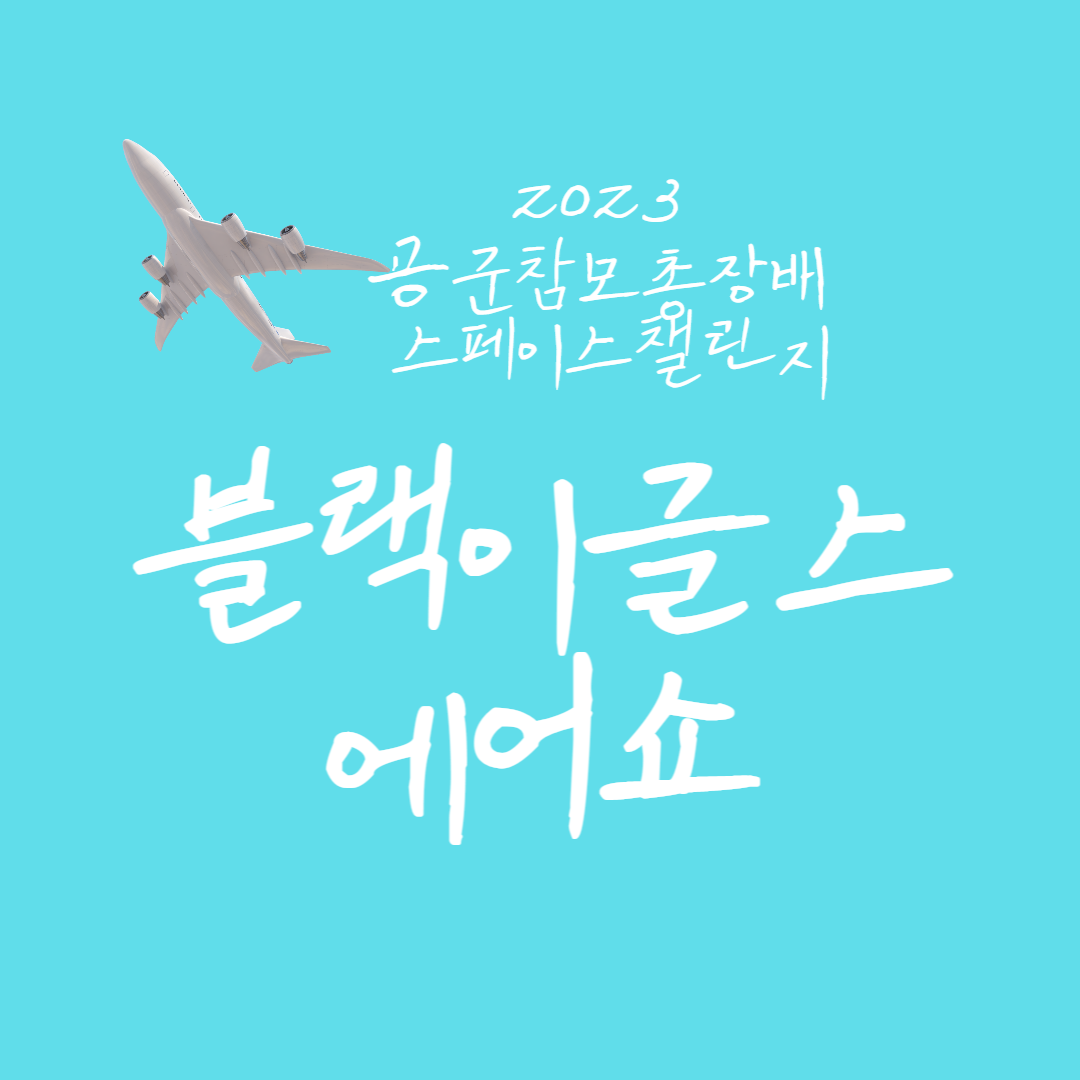 에어쇼