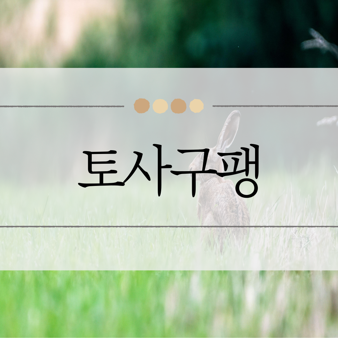 토사구팽 이미지