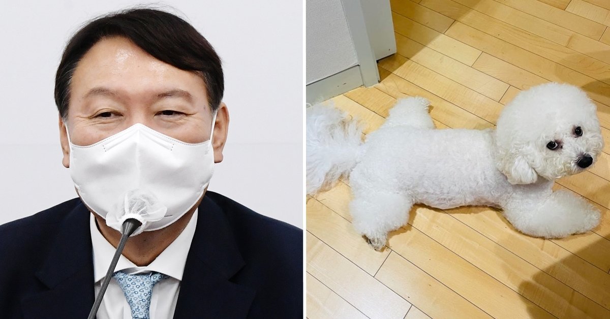  윤석열 '쩍벌' 셀프디스…"내 반려견 180도 쩍벌, 아빠 유전 ...