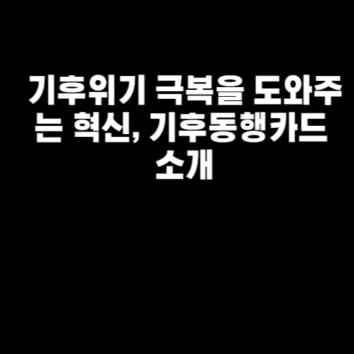 기후위기 극복을 도와주는 혁신, 기후동행카드 소개