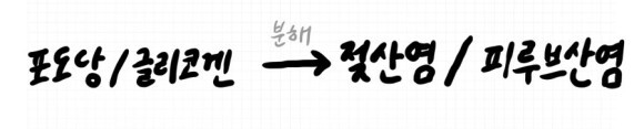 무산소성 ATP 대사 :: 해당작용