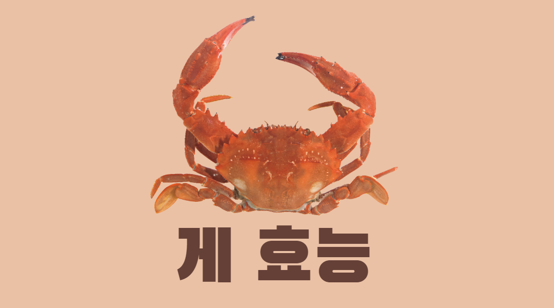  나만 모르는 게 효능