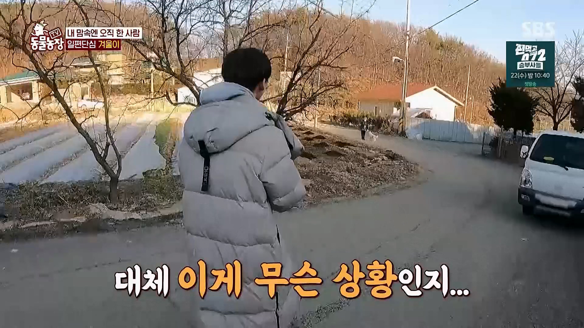 TV 동물농장.E1112.230319p.H264-F1RST.mp4_20230319_175155.403.jpg