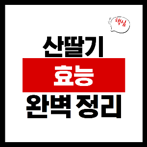 산딸기 효능