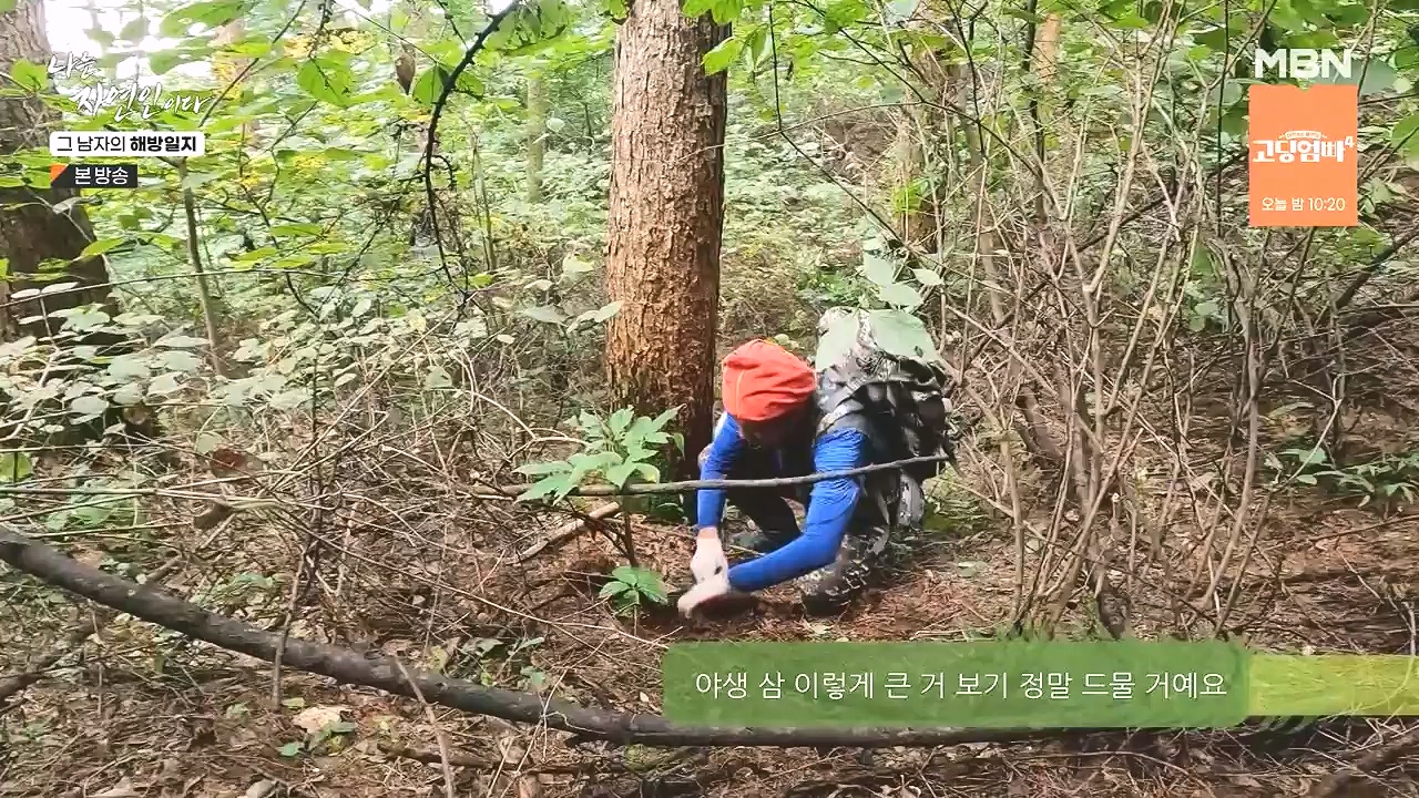 나는 자연인이다.E570.230907p-NEXT.mp4_20230909_164000.080.jpg