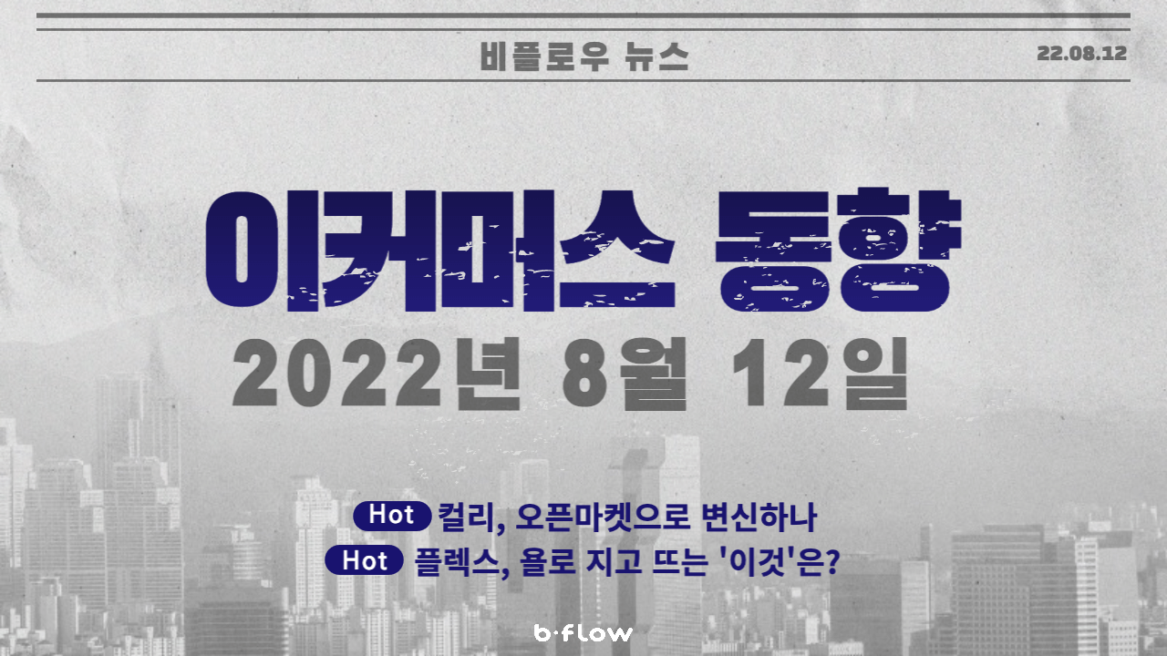  [데일리 이커머스 뉴스] 22.08.12 이커머스 동향 한 눈에 보기!