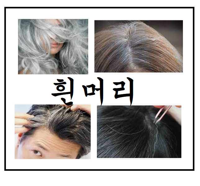  흰머리 안나게 하는 방법 및 예방법