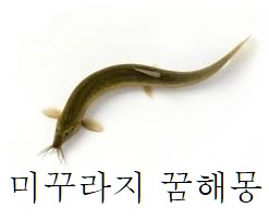  [꿈해몽]미꾸라지꿈 미꾸라지꿈해몽 미꾸라지꿈태몽 미꾸라지꿈 승진 미꾸라지가 품속으로 들어오는 꿈